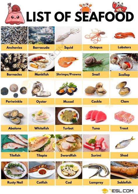 Fish Types To Eat, Types Of Seafood, Sea Food Pictures, Food Names Ideas, Types Of Fish To Eat, Seafood List, Seafood Menu Ideas, Types Of Bellies, Seafood Menu