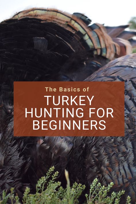 Hunting Diy, Shtf Preparedness, Deer Hunting Tips, Quail Hunting, Deer Hunting Gear, Turkey Calling, Hunting Life, Best Turkey, Hunting Tips