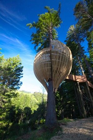 :) Treehouse Restaurant, Modern Tree House, Tree Restaurant, Tree House Plans, Cool Tree Houses, Tree House Designs, Redwood Tree, Yellow Tree, Wooden Structure