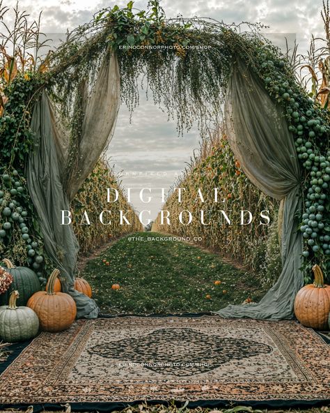 Fall Wedding Arch Ideas, Fall Wedding Arch, Wedding Arch Ideas, Fall Wedding Arches, Fall Backdrops, Fallen Arches, Arch Ideas, Autumn Collection, Harvest Season