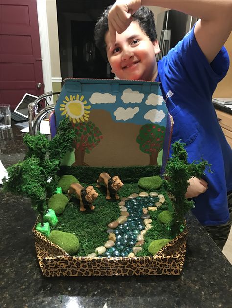 Animals' habitat Landform Projects, Biomes Project, Rainforest Project, Diorama Kids, Ecosystems Projects, Habitats Projects, Science Projects For Kids, Science Project, Animal Habitats