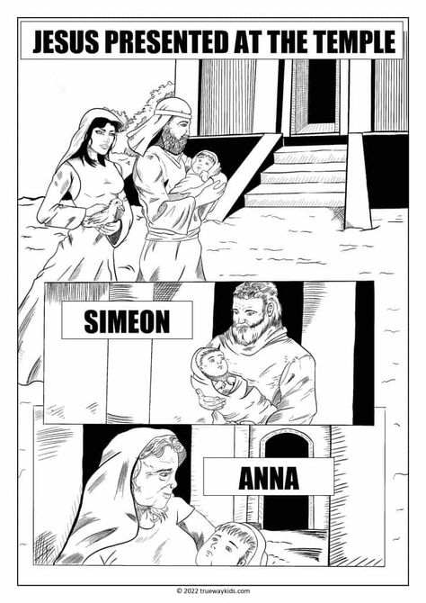 Jesus at the temple (Baby) Teen Coloring page - Comic art - FREE printable colouring page for home, youth groups, church. Learn about Jesus Simeon and Anna. Simeon And Anna Meet Jesus Craft, Simeon And Anna, Teen Bible Lessons, Youth Bible Lessons, Trueway Kids, Jesus In The Temple, Jesus Crafts, Jesus Graphic, Bible Worksheets