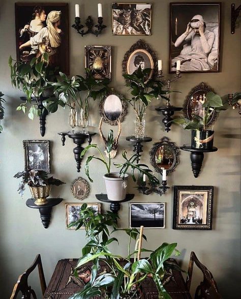 Gothic Plant Room Aesthetic, Dark Plant Living Room Aesthetic, Wall Of Shelves Ideas, Dark Botanical Aesthetic Room, Moody Kitchen Dining Room, Goth Plant Aesthetic Bedroom, Dark Room Plants Aesthetic, Garden Witch Home Decor, Gothic Cottage Core Decor