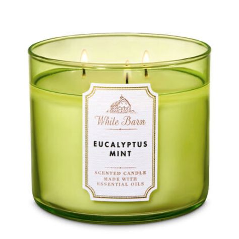 Fresh Eucalyptus, Leaving Room, Eucalyptus Mint, 3 Wick Candles, White Barn, Lemon Peel, Clary Sage, Melting Candles, House Inspo