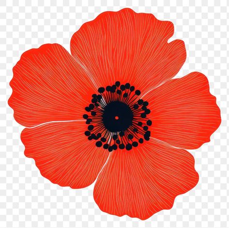 Shapes Png, Flower Hibiscus, Flower Petal, Orange Flower, Poppy Flower, Hibiscus Flowers, Orange Flowers, Flower Petals, Anemone