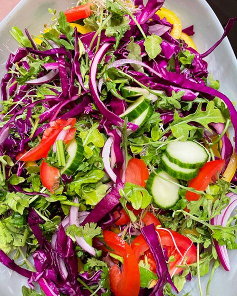 Day 3: one raw vegan meal a day. Today for dinner I’m eating a colorful raw vegan all organic salad. Arugula (my favorite greens), tomatoes, cucumber, yellow pepper, purple cabbage (another favorite veggie), red onion, green onion, cilantro, sprouts, a side of avocado. Salad dressing consists of lime, Himalaya salt, and a dash of olive oil. I can not take all the credit for making this delicious salad as my little one Bella helped throw it all together! ❤️❤️This is sooo much fun to eat!! Eating Beat Cucumber Salad, Logans Viral Cucumber Salad, Raw Vegan Cucumber Salad, Logan’s Cucumber Salad, Cucumber Cabbage Radish Salad, Salad Arugula, Himalaya Salt, Salad Photo, Colorful Salad