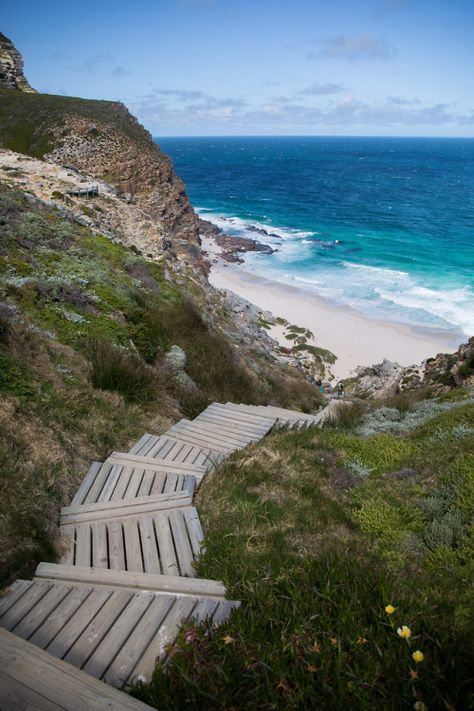 Cape of Good Hope - South Africa (by David Nunn) IFTTT Tumblr Cape Of Good Hope, Travel Journal Pages, Vacation Usa, Travel Design, Packing Tips For Travel, India Travel, Australia Travel, Travel Style, Cool Places To Visit