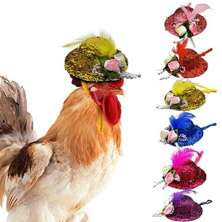 Description: There are features of adjustable elastic chin belt and lightweight, so the pet cap make the pet convenient and comfortable to put on and take off, will not load your chicken's head as well we will not hurt the hair around the chicken's head. For using this hat that can make your pets more cute and interesting to win the appreciation. It is very stylish and make your chicken more cute and charming, stand out in the crowd, due to it comes with bright color, funny feather decor and rou Chicken Accessories, Chicken Saddle, Chicken Sweater, Chicken Hats, Crazy Hat, Feather Top, Crazy Hat Day, Hat Day, Feather Tops