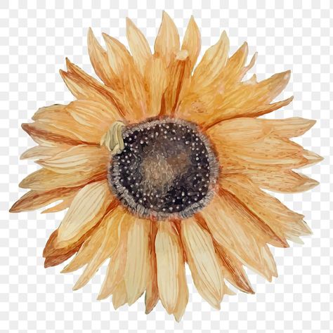 Art Png Aesthetic, Vintage Png Aesthetic, Flower Collage Art, Sunflower Journal, Tree Branch Tattoo, Sunflower Vintage, Tree Aesthetic, Vintage Sunflower, Flower Sunflower