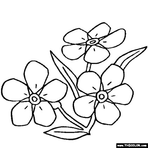 Forget me not coloring page Forget Me Not Craft Ideas, Forget Me Not Doodle, Forget Me Not Craft, Forget Me Not Outline, Forget Me Not Drawing, Flowers Coloring Pages, Flower Stencils, Forget Me Not Flowers, Flowers Coloring