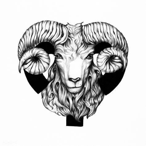 Hand drawn horoscope symbol of Aries illustration | premium image by rawpixel.com Aries Fire Sign, Aries Illustration, Taurus Constellation Tattoo, Virgo Constellation Tattoo, Mystic Symbols, Aries Art, Aries Ram, Taurus Tattoos, Aries Tattoo