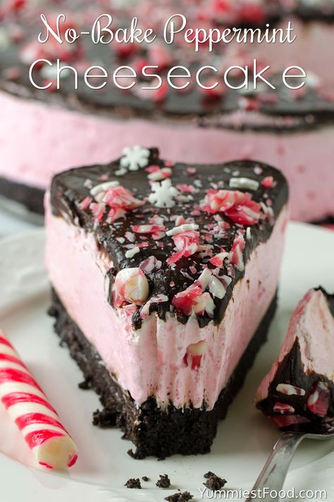 No Bake Peppermint Cheesecake, Desserts Nutella, Smores Dessert, Peppermint Cheesecake, Monkey Bread, Christmas Cooking, Savoury Cake, Food Cakes, Mini Desserts