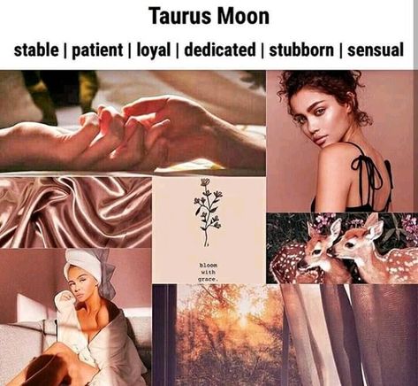 Taurus moon Moon Makeup, Jupiter Sign, Saturn Sign, Virgo Personality, Mercury Sign, Taurus Moon, Taurus Quotes, Star Goddess, Trend Forecast