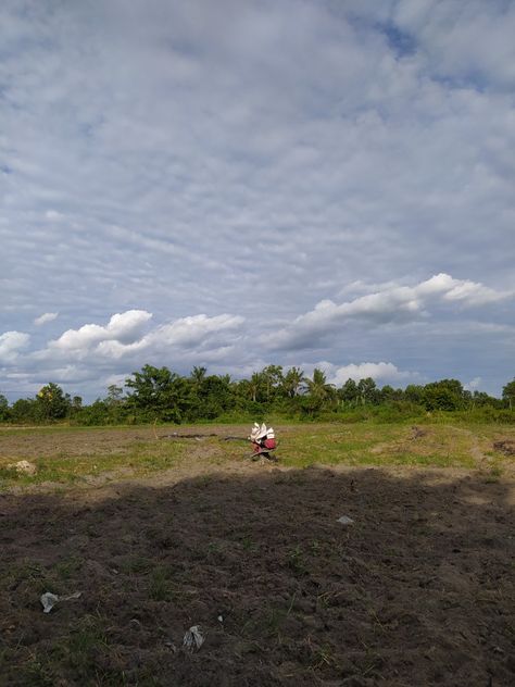 Lahan Pertanian, Country Roads, Road