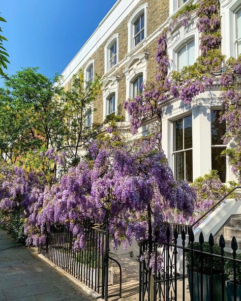 London Sunny Day, Sunny London, London Spring Aesthetic, London Homes, Summer In London Aesthetic, London Summer Aesthetic, Summer In London, London In Spring, London In August