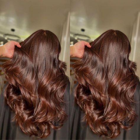 Low Maintenance Red Brown Hair, Brown Reddish Hair, Brown Hair With Red Undertones, Fall Hair Inspiration, Brownish Red Hair, Reddish Brown Hair Color, Reddish Brown Hair, Chestnut Hair, Chestnut Hair Color