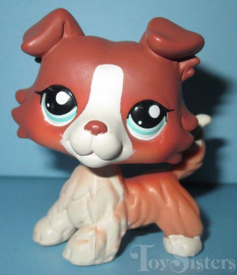 Lps Dog, Lps Popular, Lps Toys, Lps Pets, My Little Pony Twilight, Lps Littlest Pet Shop, Red Dog, Collie Dog, Plastic Animals