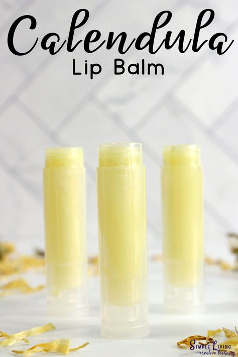 Made using a few natural ingredients, this calendula lip balm has great anti-inflammatory properties as well as wonderful healing and protective properties, keeping your lips soft and lush. Calendula Balm, Healing Lip Balm, Lip Healing, Shea Butter Lip Balm, Coconut Lip Balm, Lip Balm Containers, Healing Balm, Calendula Oil, Diy Lip Balm