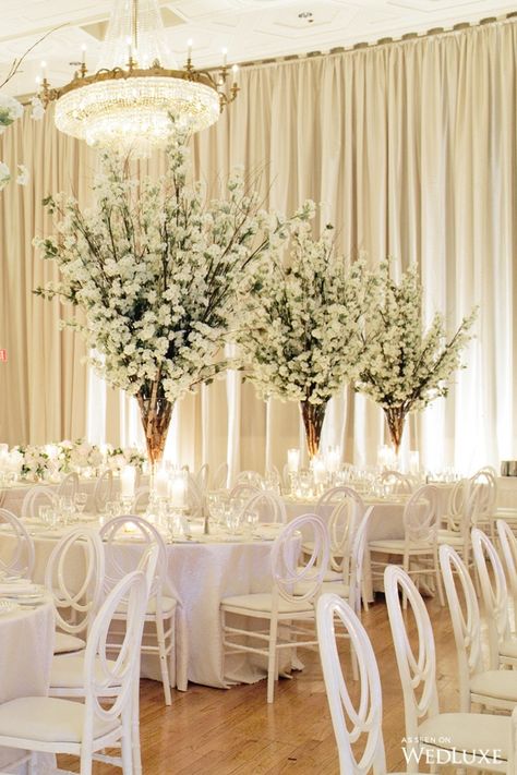 An All-White Wedding Filled with Cherry Blossoms and Pops of Peonies | WedLuxe Magazine Classy Wedding Centerpieces, Peonies Photography, Peonies Wedding Decoration, Peonies Centerpiece, All White Wedding, Wedding Floral Centerpieces, Tall Centerpieces, White Wedding Flowers, Flower Centerpieces Wedding