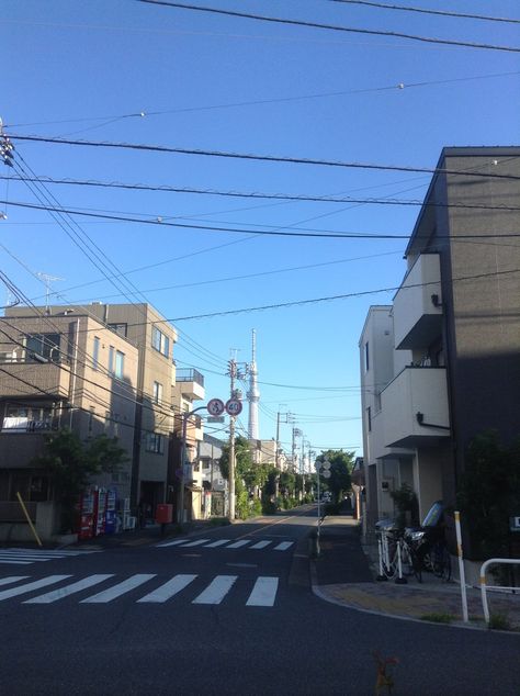 Japanese Suburbs, Tokyo Suburbs, Summer Fireworks, Tokyo Sky Tree, Tokyo Sky, Tokyo Trip, Japan Street, Sky Tree, Imperial Palace