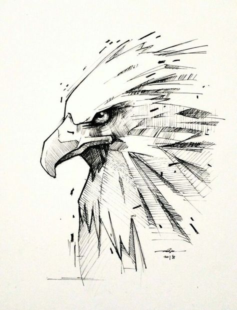 Eagle Ink Drawing, Drawing An Eagle, How To Draw Eagle, Wings Pencil Drawing, Eagle Drawing Pencil, Cute Eagle Drawing, Eagle Drawing Sketches, Eagle Art Draw, Eagle Anime