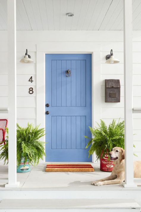 Pops of red and blue, understated barn light sconces, and just-chippy-enough elements make for an entry that's more hello than howdy. Check out the ferns—old shortening cans make awesome planters. For this cheerful color, try Bedford Blue by Benjamin Moore. Bronze horseshoe door knocker, $60; Signature Hardware. Barn light sconces, $219; Restoration Hardware. Cast-iron house numbers, $8; Etsy. Metal mailbox, $60; Amazon. Vintage food canisters... Forsythia Flower, Bold Front Door, Yellow Jasmine, Metal Front Door, Blue Front Door, Iron Front Door, Front Door Makeover, Beautiful Front Doors, Yellow Wreath