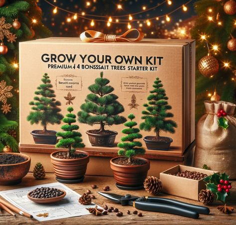 Image of the Premium 4 Bonsai Trees Starter Kit, an ideal Christmas gift for plant lovers looking to explore bonsai gardening. Diy Bonsai Tree, Men Gardening, Seed Starter Kit, Christmas Tree Kit, Mini Bonsai, Gifts For Moms, Seed Starter, Christmas Plants, Crafts For Adults