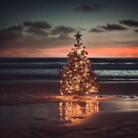 Beach Christmas Wallpaper, Christmas Beach Wallpaper, Christmas By The Sea, Beach Christmas Aesthetic, Christmas Beach Pictures, Christmas Beach Family Photos, Beach Christmas Pictures, Christmas On The Beach, Desert Christmas