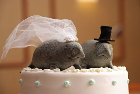 Manatee Cake, Barbara Manatee, Unique Wedding Cake Topper, Wedding Cake Recipes, Funny Wedding Cakes, Wedding Cake Fresh Flowers, Unique Wedding Cake, Wedding Cake Toppers Unique, Sea Cow