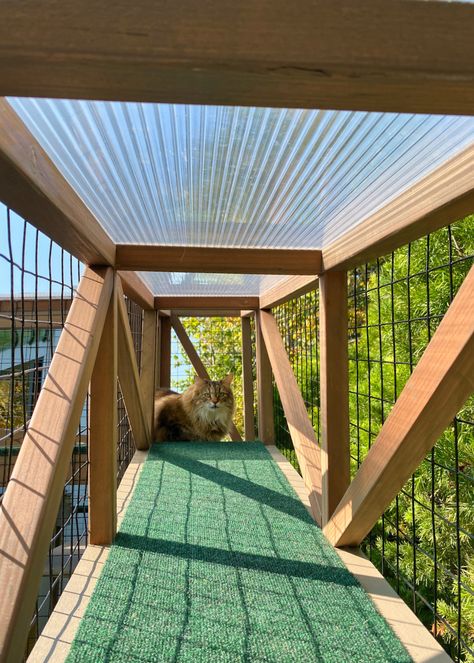 Cat Runs, Skyways, and Bridges - Custom Catios Cat Room Indoor, Cat Tunnel Diy, Cat Rooms Indoor, Indoor Cat Room Ideas, Cat Tunnel Outdoor, Cat Room Ideas, Cat Room Diy, Cat Rooms, Cat Walkway