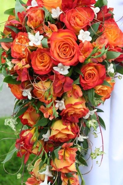 cascading fall bouquets  | Fall cascade bouquet Fall Wedding Bouquets October, Orange Freesia, Red Orange Flowers, Orange Bridal Bouquet, Peruvian Lily, Roses Orange, Orange Bouquets, Cascading Wedding Bouquets, Cheap Wedding Flowers