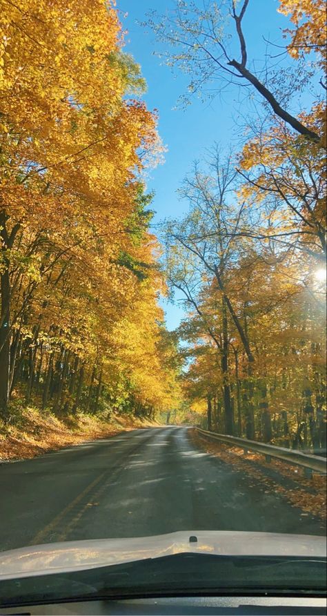 Yellow fall leaves over a bendy small road Sunny Autumn Aesthetic, Autumn Aesthetic England, Autumn Car Wallpaper, Canada Autumn, Sunny Autumn Day, Fall Aesthetics, Sunny Autumn, Yellow Autumn, Autumn Sun