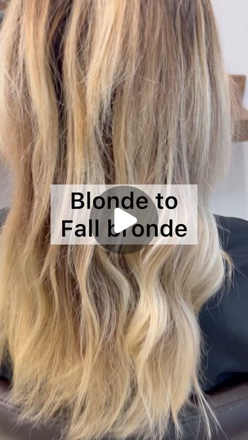 Blonde To Bronde Fall, Blonde Melt, 2023 Blonde, California Blonde, Blonde Bronde, Hair Color, Blonde, California, Hair