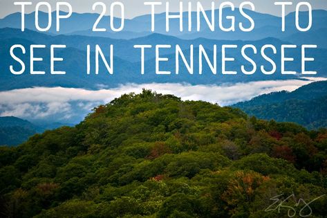 The Top 20 Must-See Places in Tennessee Memphis Tennessee Vacation, Tennessee Family Vacation, Camping In Tennessee, Tennessee Road Trip, California Camping, Tennessee Travel, Nashville Trip, Tennessee Vacation, Mountain Travel