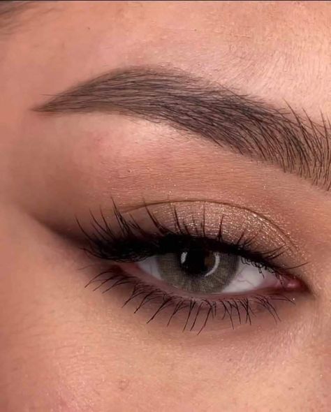 Neutral Matte Eye Makeup, Hoco Makeup Silver, Light Smoky Makeup Looks, Makeup For Blue Eyes Brunettes, Grad Pic Makeup, Best Makeup For Green Eyes, Black Eyes Makeup, Makeup Ideas Simple, Makeup Blue Eyes