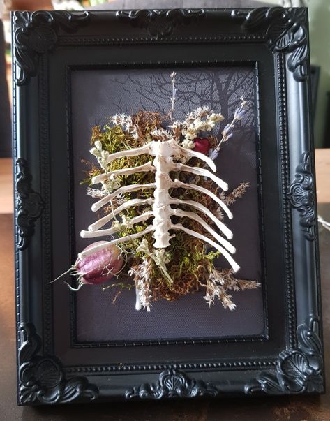 A chicken ribcage in a bed of moss and dried flowers. Ethically sourced. Taxidermy With Flowers, Dark Home Decor, Bone Art, Dark Home, Wedding Girl, A Chicken, Rib Cage, Taxidermy, Flower Arrangement