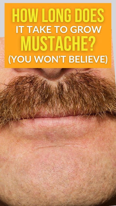 Grow mustache Mustache Growth Tips, Men’s Mustache Styles, How To Grow Moustache, How To Grow Mustache, Long Hair Mustache, Mustache Aesthetic, Trim Mustache, Handlebar Mustache Style, French Mustache