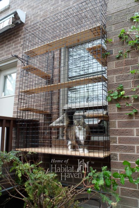 Safe, Friendly Cat and Dog Enclosures » Home of Habitat Haven Catio Enclosure, Window Catio, Outdoor Cat Tree, Dog Enclosures, Outdoor Pet Enclosure, Cat Fence, Cat Patio, Outdoor Cat Enclosure, Cat Proofing