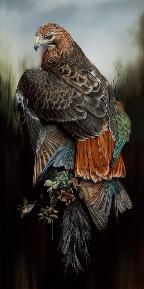 Heaven Pictures, Regard Animal, Fauna Illustration, Eagle Wallpaper, Eagle Pictures, Red Tailed Hawk, Colossal Art, An Eagle, Birds Tattoo