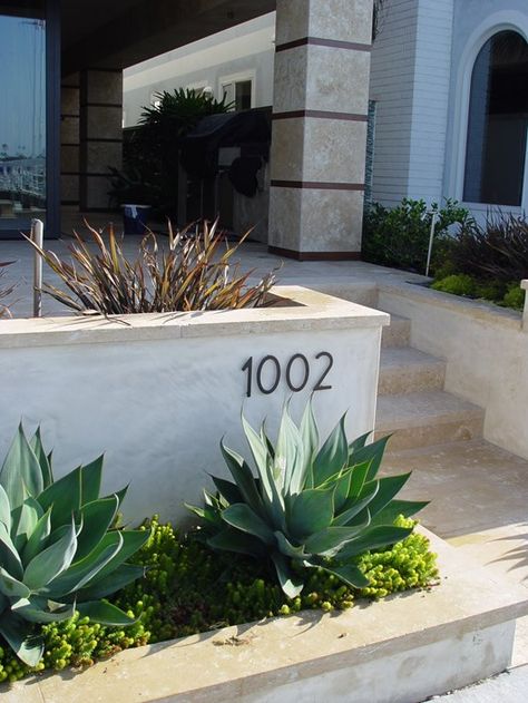 plaster-retaining-wall under juniper tree Simple Pool, Concrete Retaining Walls, Landscaping Retaining Walls, Front Yard Fence, Stucco Walls, Front Landscaping, Modern Fence, Retaining Walls, Up House