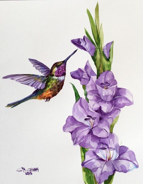 Purple Hummingbird Painting, Wisteria Hummingbird Tattoo, Birds And Flowers Drawing, Gladiolus Painting Acrylic, Hummingbird With Flowers Painting, Hummingbird Drawing With Flowers, Hummingbird Painting Acrylic Easy, Humming Bird Painting Acrylics, Gladiolus Painting