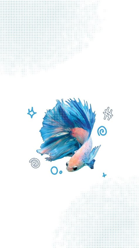 Betta Fish Background, Wallpaper Backgrounds Fish, Fish Phone Theme, Y2k Wallpaper Lockscreen, Aesthetic Fish Wallpaper, Cute Fish Wallpaper, Oceancore Wallpaper, Fish Lockscreen, Blue Wallpaper Ocean