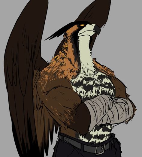 Aarakocra Fighter, Monk Barbarian, Dungeons And Dragons Books, Pathfinder Character, Dungeons And Dragons Classes, New Fantasy, Fantasy Races, Dungeons And Dragons Characters, Dnd Art