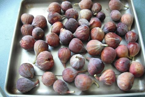 Freezing Figs | ThriftyFun Frozen Fig Recipes, Freezing Figs, Drying Figs, Fig Recipes Fresh, Figs Recipes, Fig Season, Fig Leaf, Fig Recipes, Fine Dining Recipes