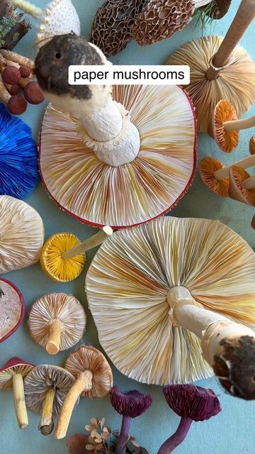 Ann Wood @Woodlucker/paper art on Instagram: "Highlighting the handmade gills on my PAPER mushrooms. I think it’s the part of a mushroom that most reminds me of a flower. I love making these and noticing all the different variations there are in real mushrooms. #woodlucker #annwood #paperartist #paperart #papermushroom #reels #reelsinstagram #reelvideo #reelsviral #handmade #imadethis #explorepage #botanical #botanicalart #botanicalillustration #antique #mushrooms #mushroomart #mushroom #mushroomgram #cottagecore #wearegardenmakers #gardendesign #betterhomesandgardens #onmytable #flatlay #botanicalpainting #botanicalpickmeup" Parts Of A Mushroom, Turkey Crafts For Preschool, Paper Mushrooms, Real Mushrooms, Paper Dahlia, Painting The Roses Red, Mushroom Crafts, Ann Wood, Turkey Crafts