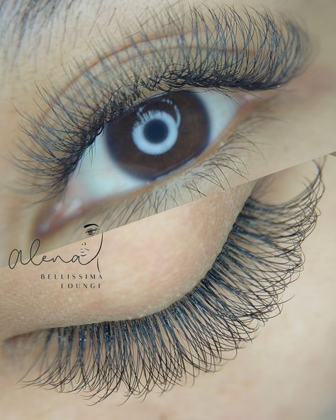 W Lashes W Lash Extensions, Eyelash Extensions Styles, Lash Extensions, Eyelash Extensions, Eyelashes, Lashes, Lounge, Quick Saves