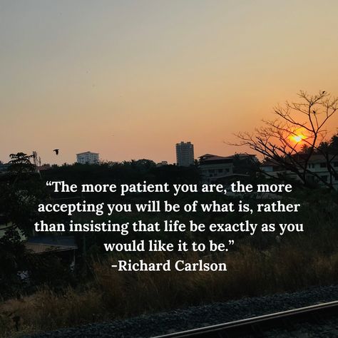 The author specifies it is very important to have patience in life. “The more patient you are, the more accepting you will be of what is, rather than insisting that life be exactly as you would like it to be.” -Richard Carlson Richard Carlson Quotes, Patience Quotes, Have Patience, Having Patience, Quotes