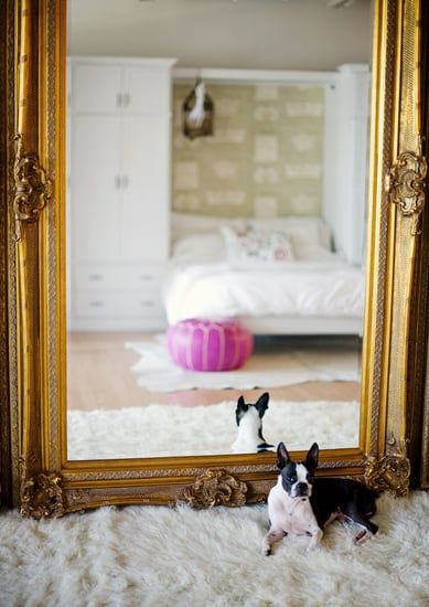 Renter Hacks, Style Me Pretty Living, Domino Magazine, Rental Decorating, Condo Living, Apartment Life, Mirror Mirror On The Wall, Mirror On The Wall, Boston Terriers