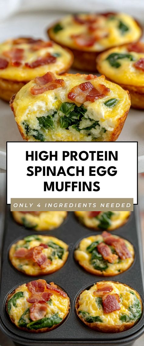 Image for High Protein Spinach Egg Muffins Protein Breakfast Muffins Low Carb, Protein Breakfasts On The Go, Just Egg Muffins, Protein Packed Egg Muffins, Breakfast Ideas Egg Muffins, Healthy Breakfast Egg Muffins Recipes, Healthy Egg Muffin Recipes, Best Egg Muffins Breakfast, Health Egg Breakfast