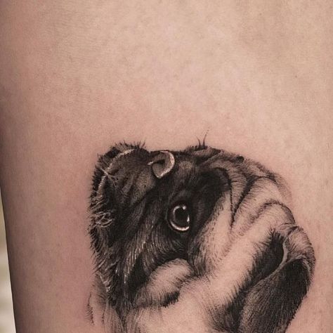 Pug Tattoo Ideas, Pug Portrait, Pug Tattoo, Bulldog Tattoo, Small Hand Tattoos, Line Tattoo, Rose A, Head Tattoos, Back Tattoos